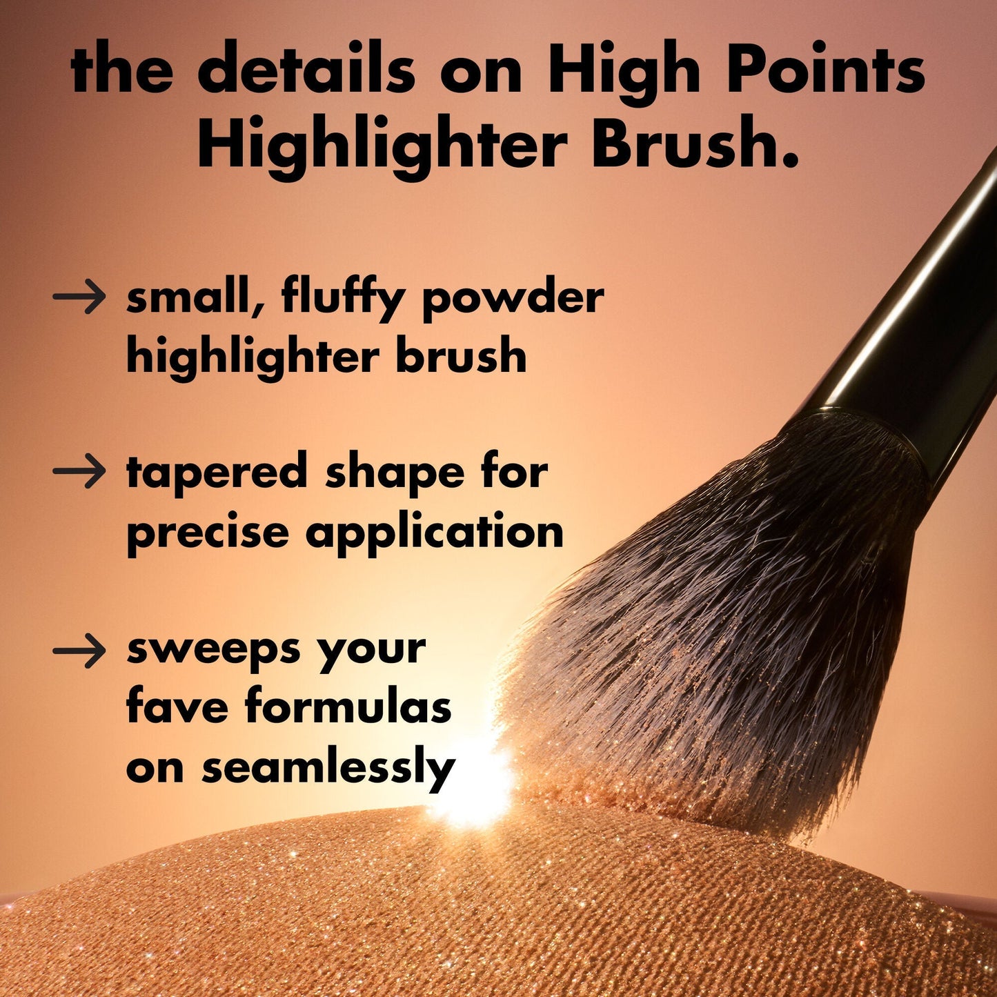 high-points-highlighter-brush-x6 0226_EDU_HighpointsHighlighterBrush_Details.jpg