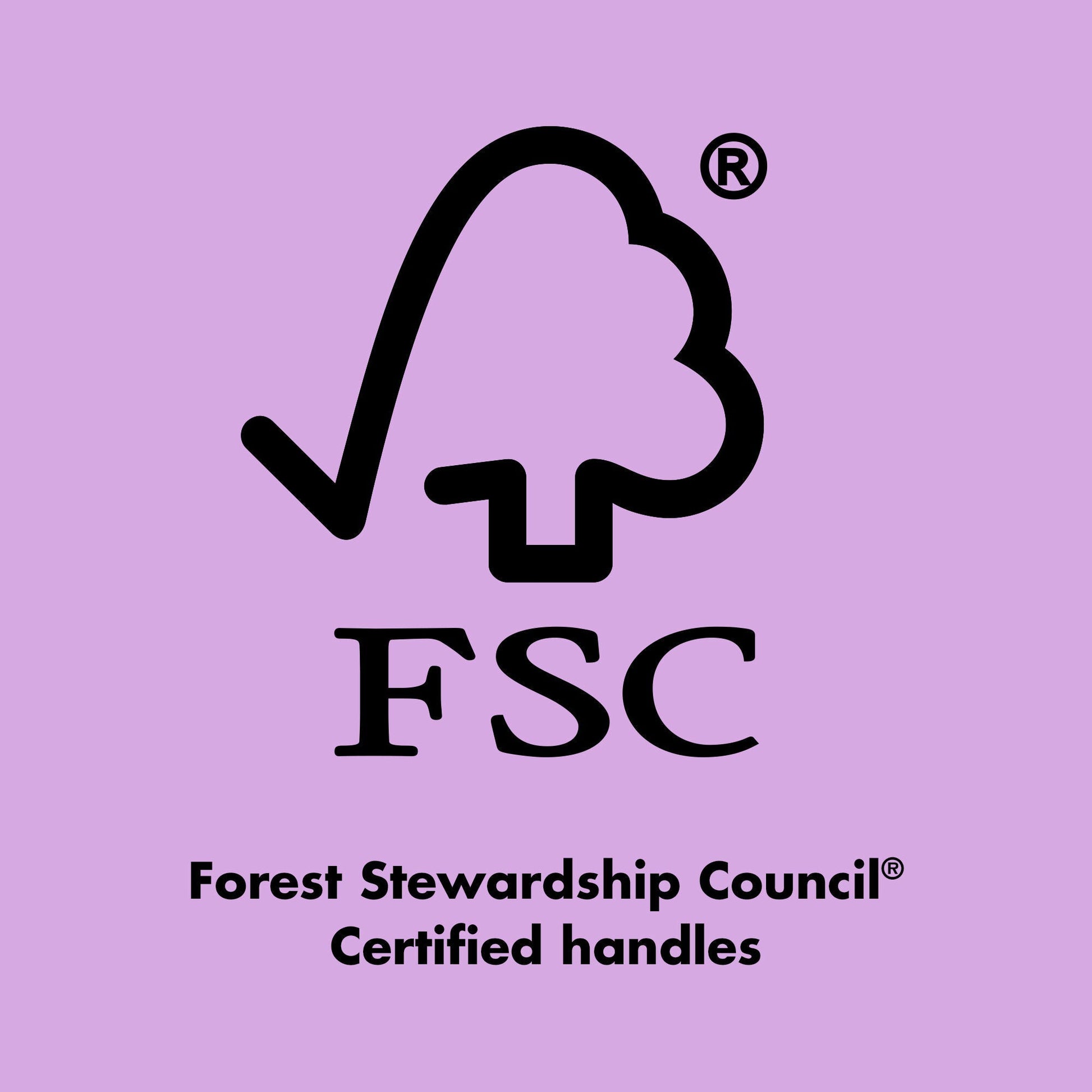 ten-out-of-ten-brush-kit-z0 0423_EDUCATION_FSC_EVERGREEN.jpg