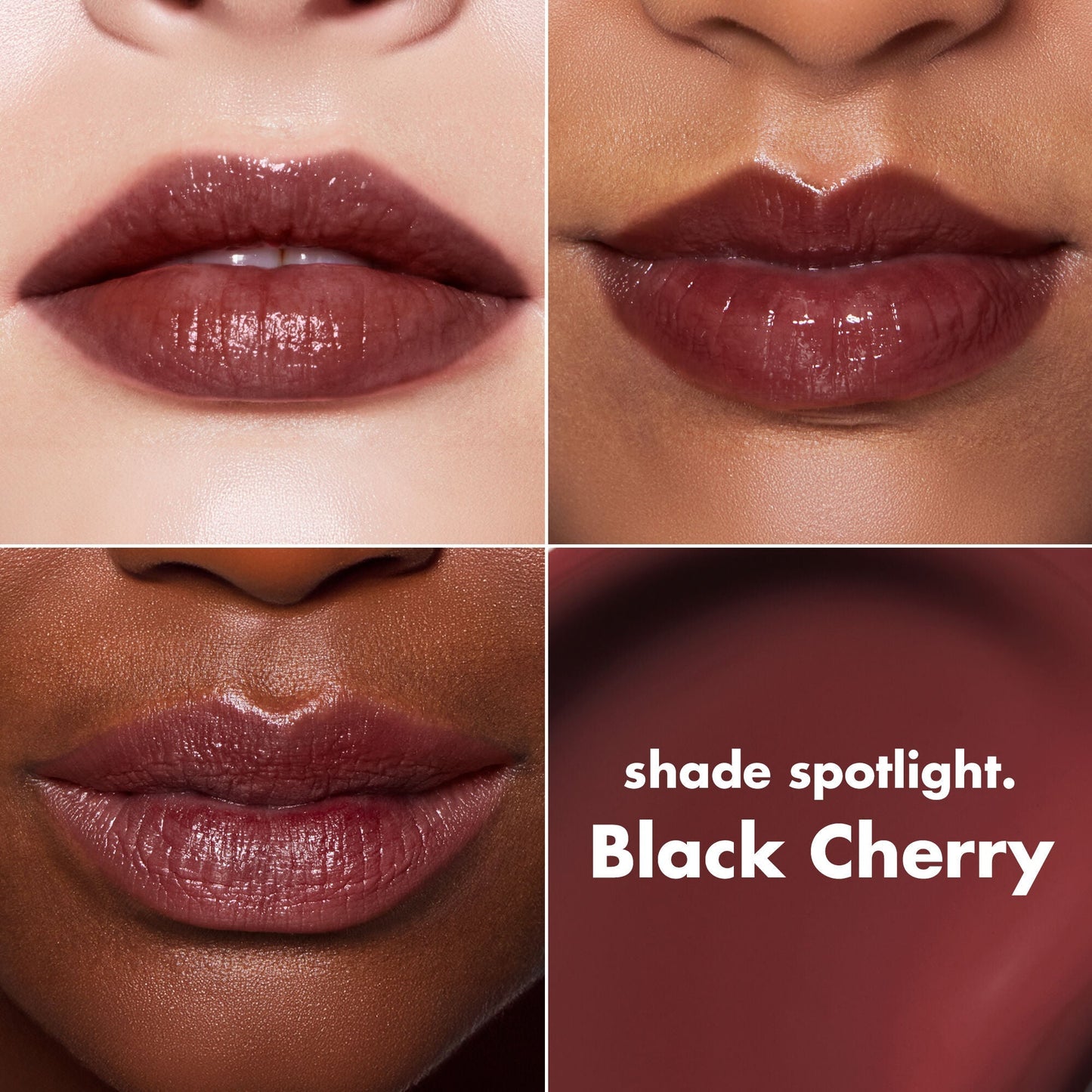 lip-lacquer-m8 0426_EDU_LipLaquer_ShadeChart_BlackCherry.jpg