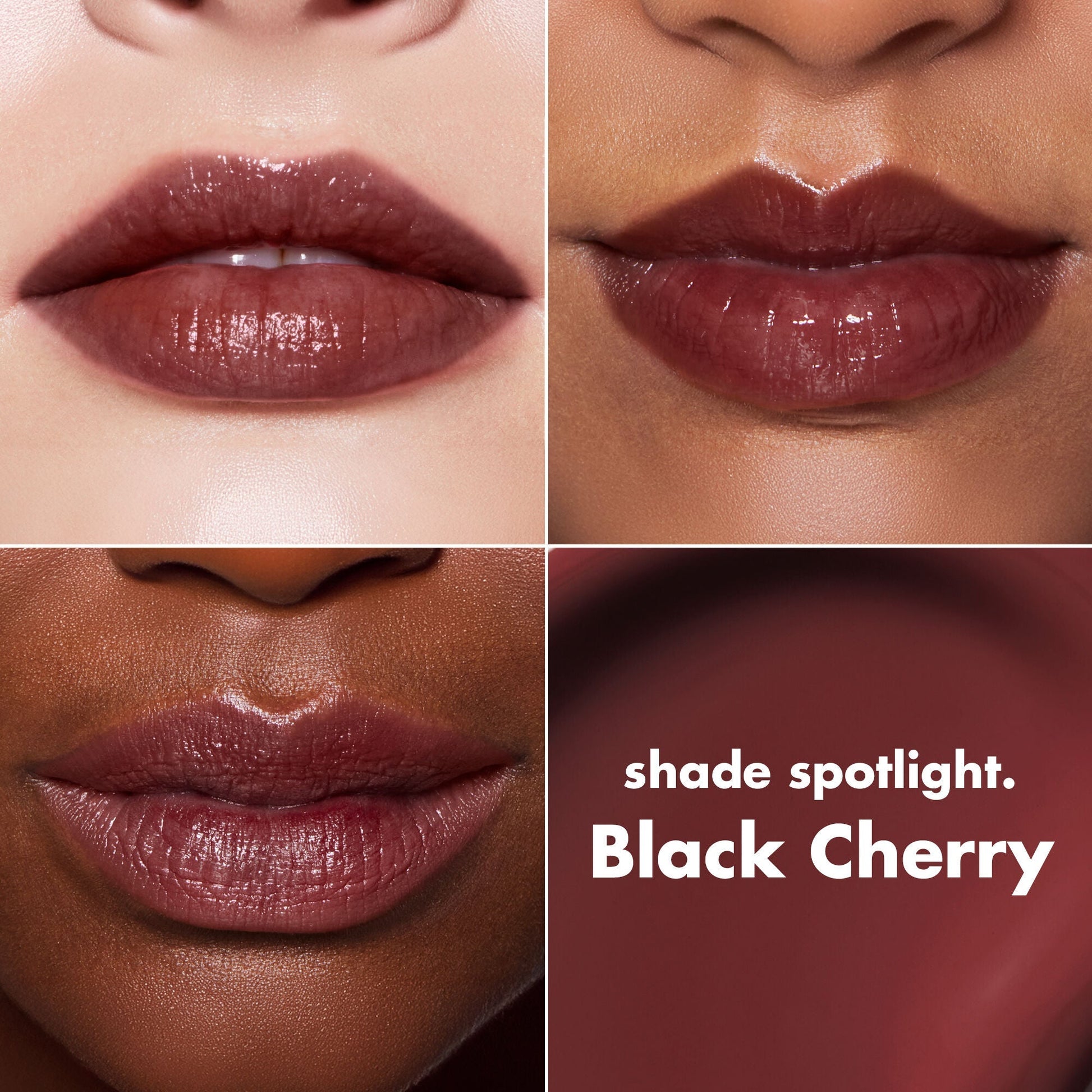 lip-lacquer-m8 0426_EDU_LipLaquer_ShadeChart_BlackCherry.jpg