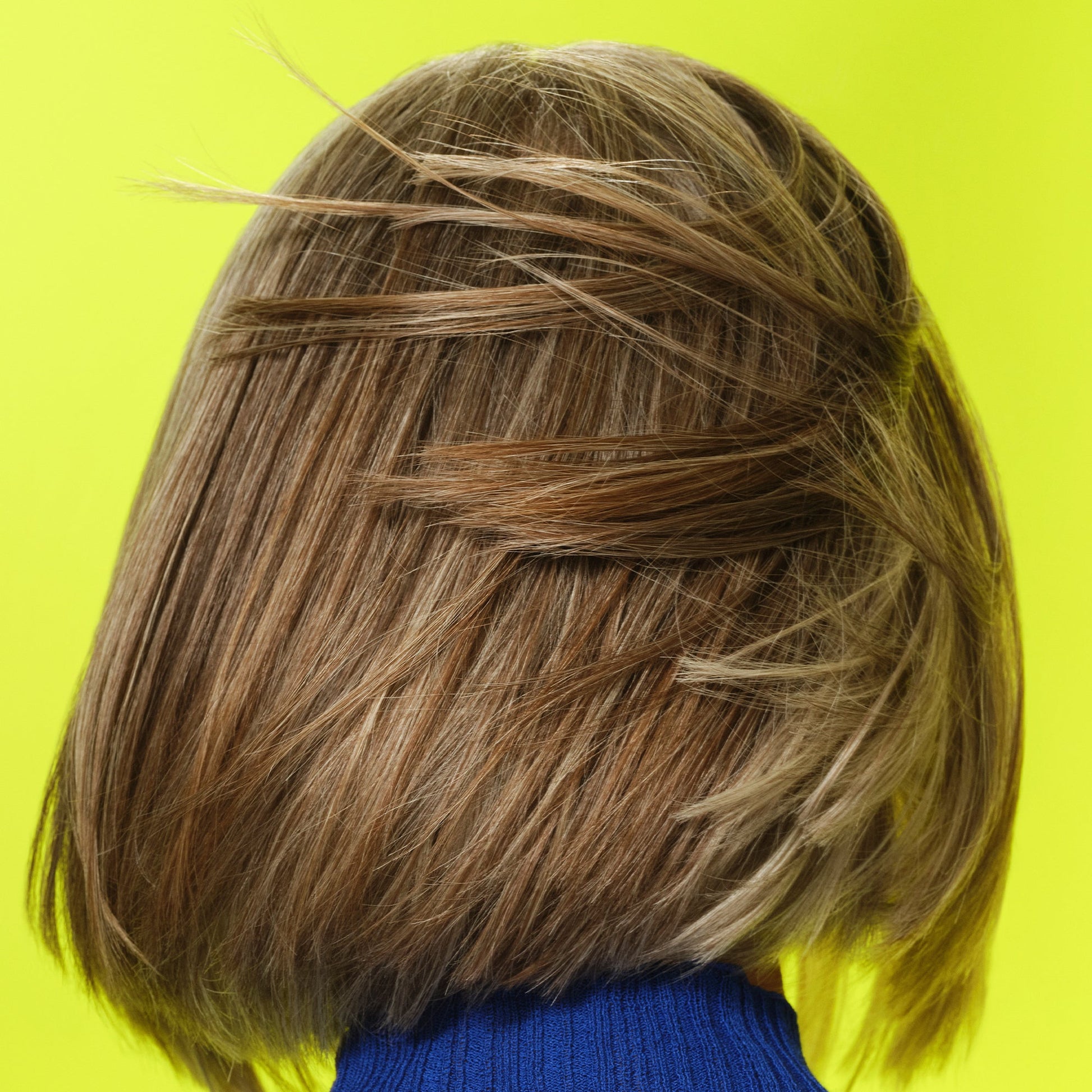 frizz-to-rizz-trio-f0 111725_Vicky_HumidityAntifrizz-Editorial_0538_w2QC_IGF_1x1_05a09617-4ccf-44a2-8545-199321a503e1.jpg