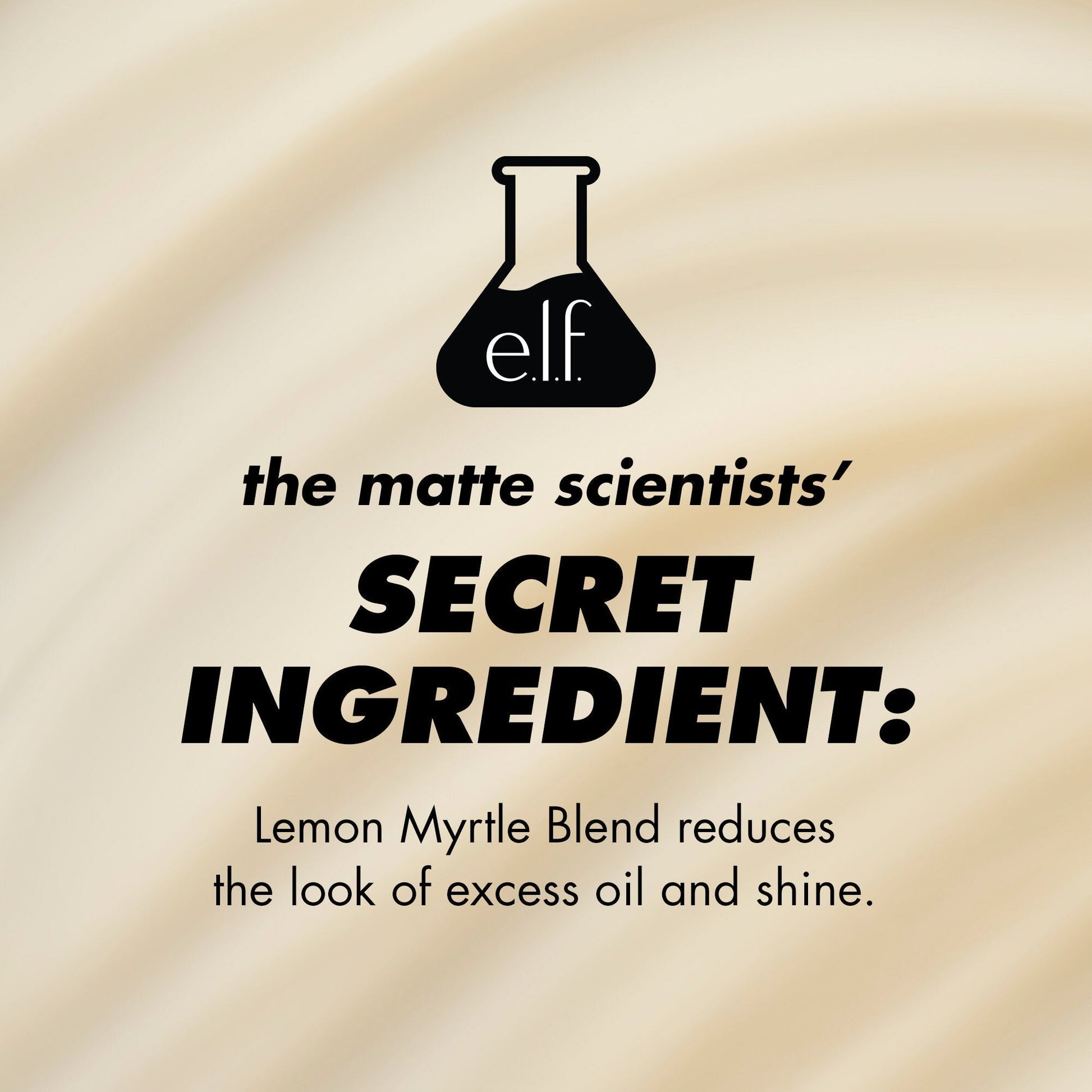 power-grip-matte-primer-i4 1224_EDUCATION_PGMATTE_INGREDIENT_b9de063f-aeb5-403f-9709-c3cafbf9c9d1.jpg