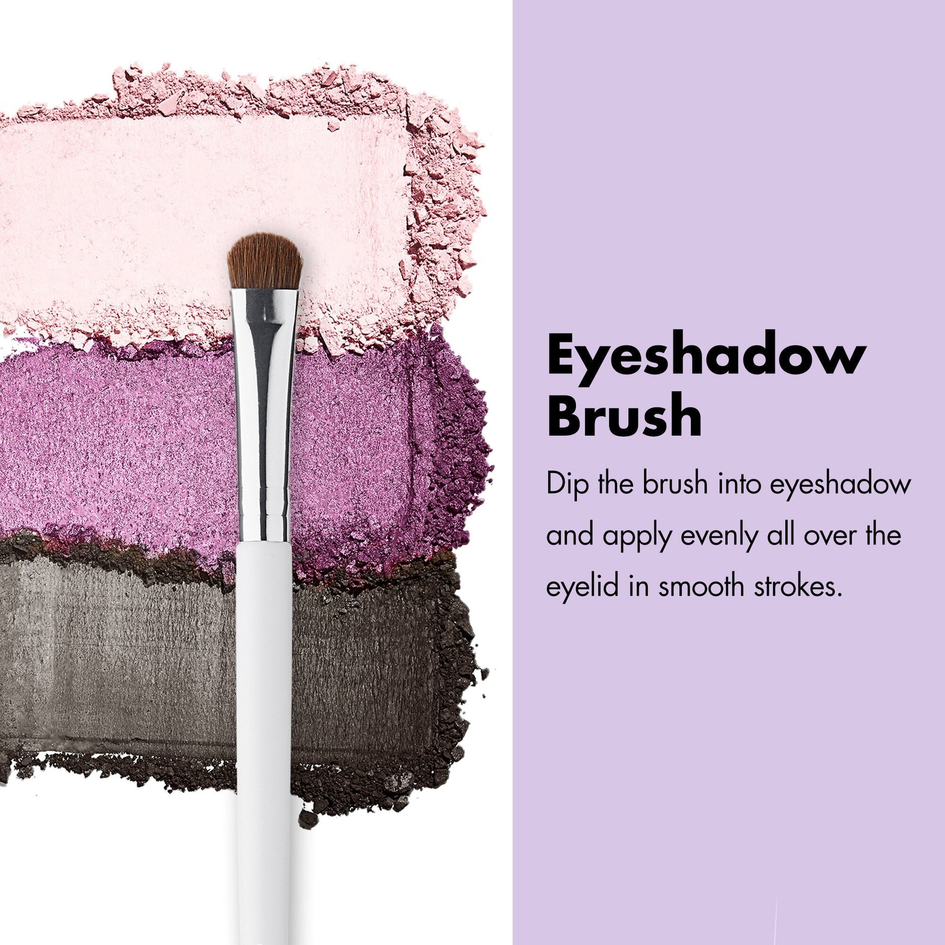 professional-set-of-12-makeup-brushes-v9 ProfessionalBrushes_Eye_EyeshadowBrush_PDP_Edu_2000x2000_2418e3b8-bb65-4e6d-af53-e6d0aab002ae.jpg